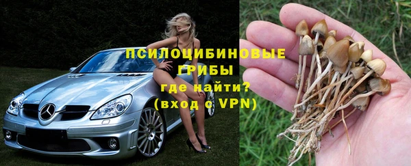 твердый Приозерск