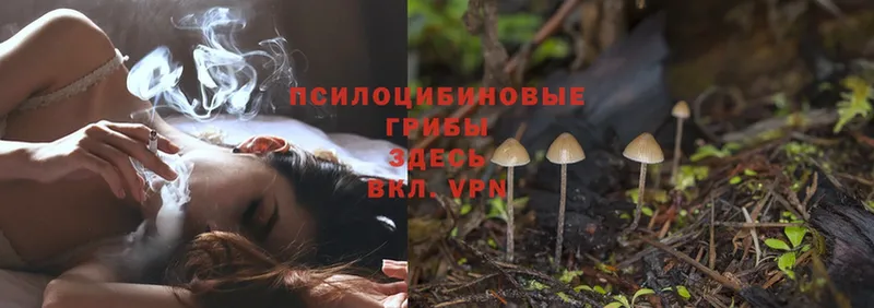 Псилоцибиновые грибы Magic Shrooms Купино