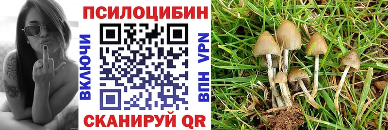 Галлюциногенные грибы мухоморы  Купино 